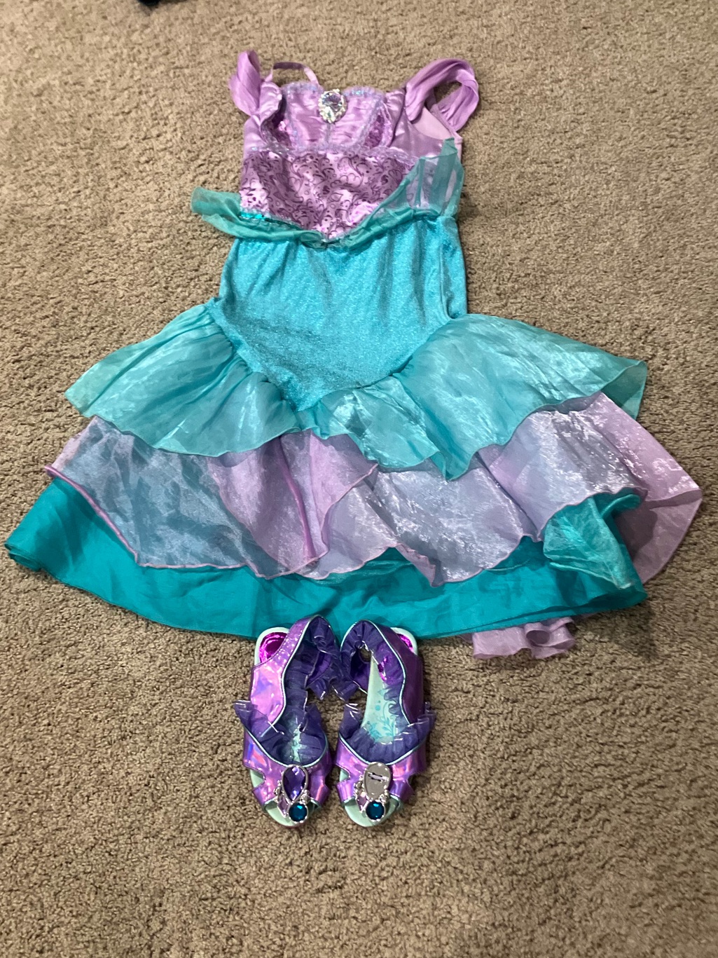Disney Princess Costumes
